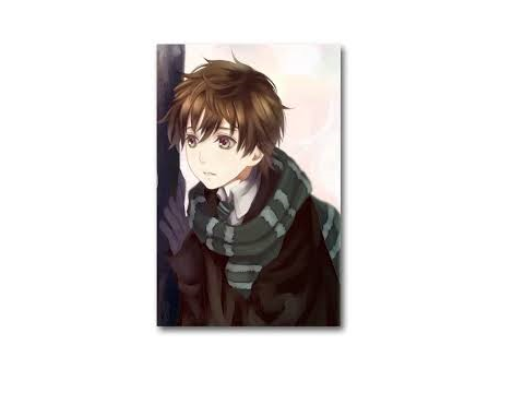 Human RP bio's (Luke&Lucky)