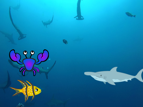 Ocean Week Project FINAL 