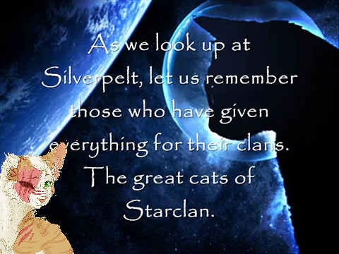 Starclans light~By-Blixemi remix