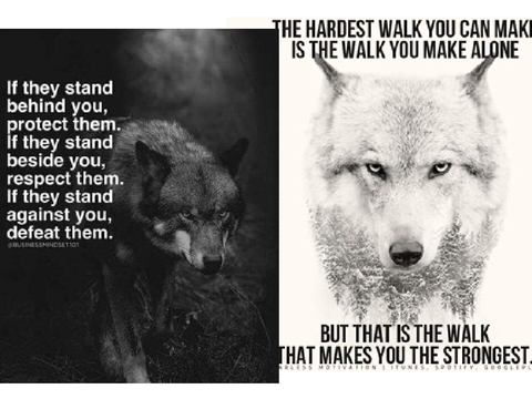 Wolf Quotes  