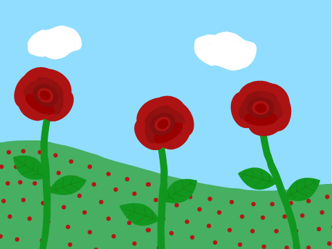 Rose Fields ~ A Parallax 