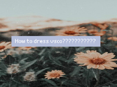 what do vsco girls wear?