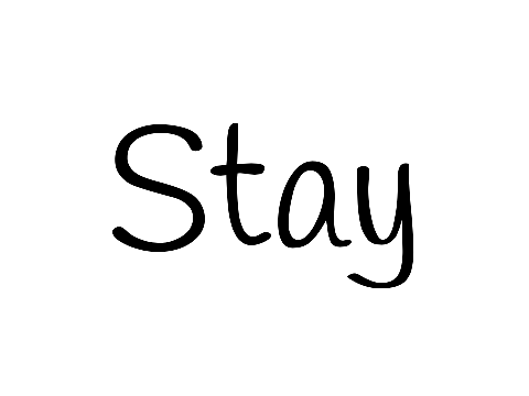 Stay 