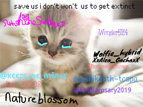 sign if you hate animal cruelty remix