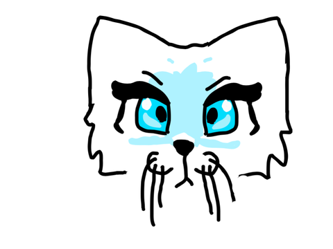 Cat Artwork