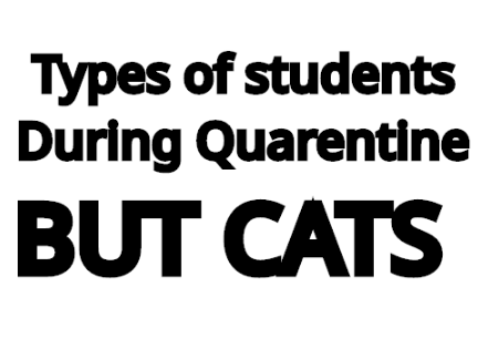 Students in Quarantine- But Cats