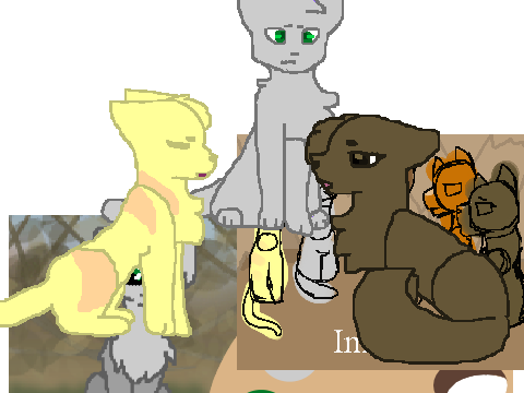im so sorry mossy