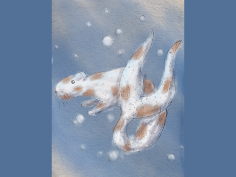 Attack on team redwood (guinea pig x fish)