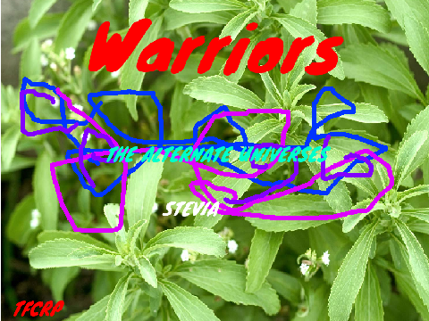 Stevia AU, TFCRP, 1st Chapter