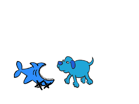 SHARK VS DOG