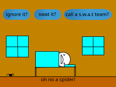 the spider