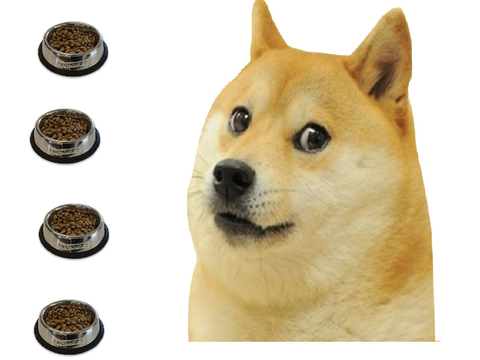 My doge
