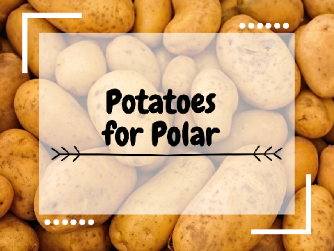 Potatoes for Polar