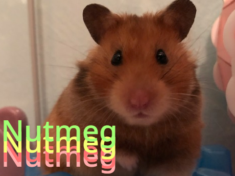 More Nutmeg