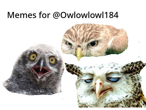 Memes for @Owlowlowl184