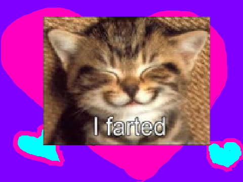 the cutest cat remix