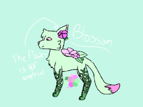 ~ Blossom Ref Sheet! ~ 