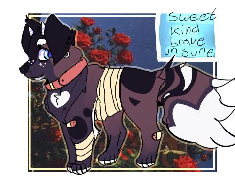 ota payments  for Mojochi