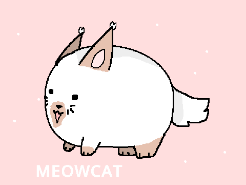 ᴍᴇᴏᴡᴄᴀᴛ