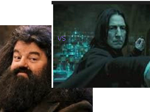 Hagrid vs Piton