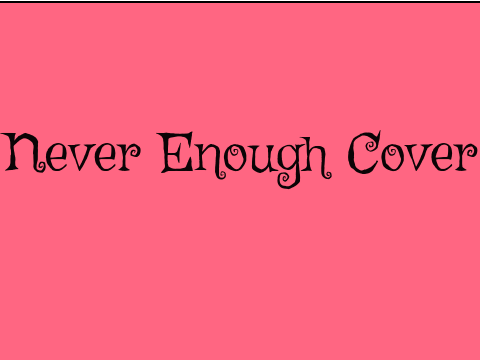 Never Enough Cover