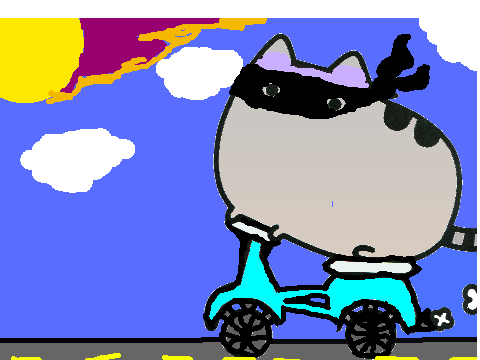 Pusheen Contest -Ninja Cat-