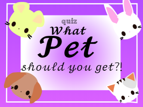 What Pet Should You Get?!