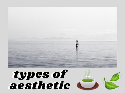 ☽ types of aesthetic