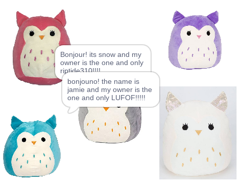 squishmallow adoption special! owls