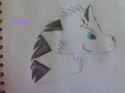 Cat Art Contest (OPEN)  remix