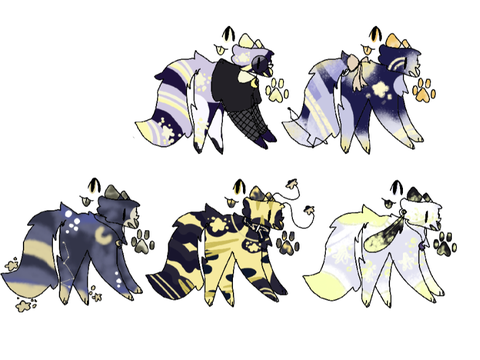 JoD Attack // Astronomical Raccoons 