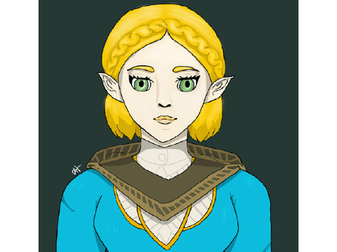 BOTW Zelda Drawing