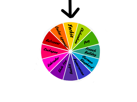 Fortune wheel