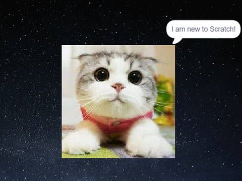 Welcome to Scratch!