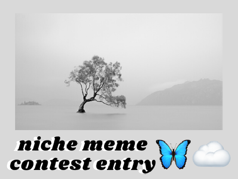 ☏ (2) niche meme contest entry