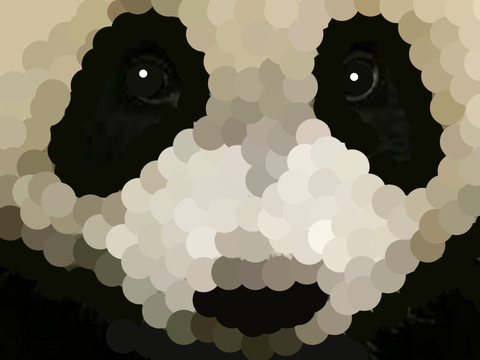 panda SPEED dot art!!!!!