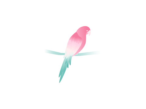 PP4 R1 - Macaw