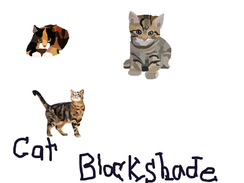 Cat Blockshades