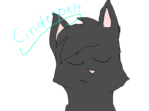 Cinderpelt Sketch 