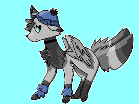Aster -- oc
