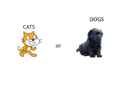wich one is better dogs or cats