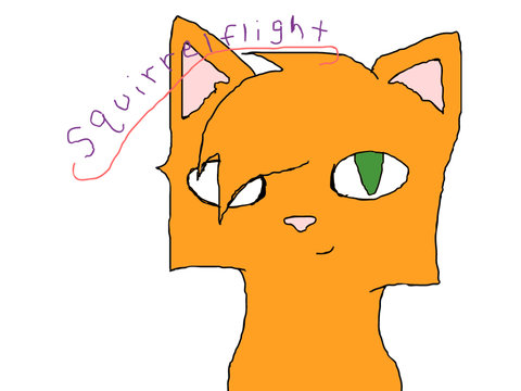 Squirrelflight Sketch