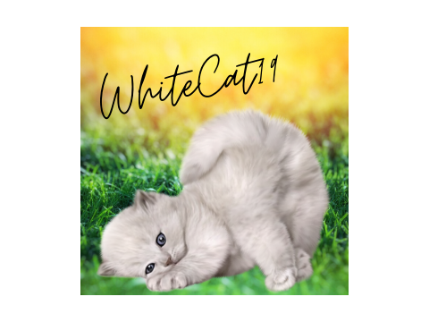 pfp for @WhiteCat19