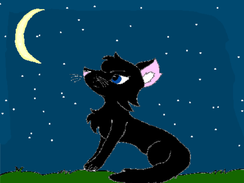 AT with @Blackrose969
