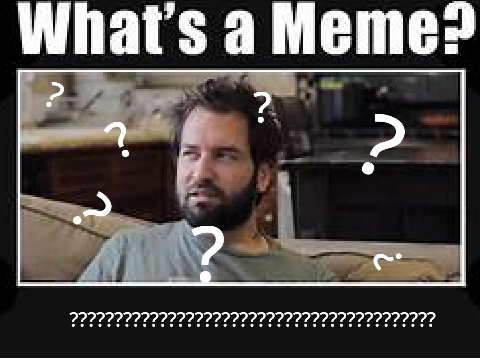 What is meme?