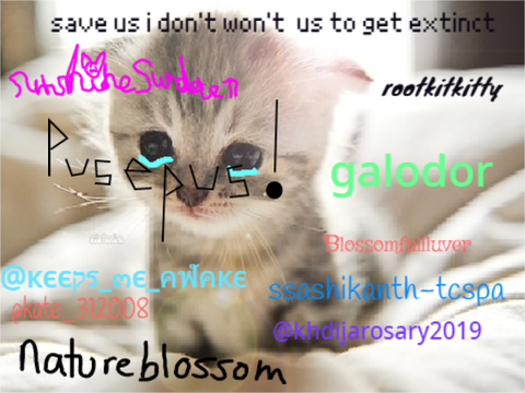 sign if you hate animal cruelty remix remix remix remix remix remix remix remix remix