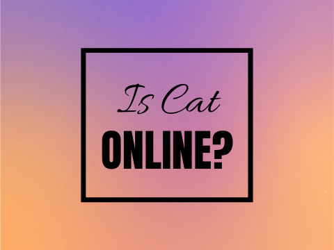 Is Cat Online? ★
