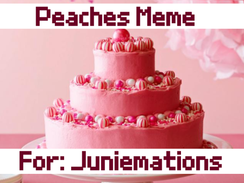 Peaches Meme // Gift for June
