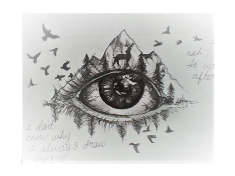 ✰ ANOTHER eye - traditional in pen ✰
