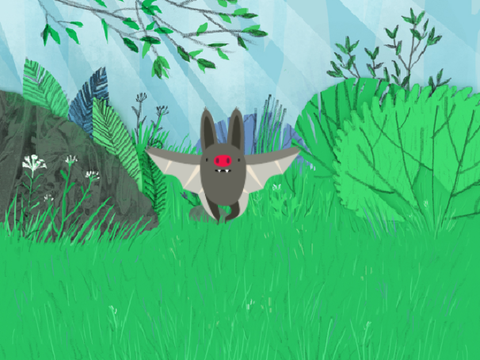 Bat in the forest
